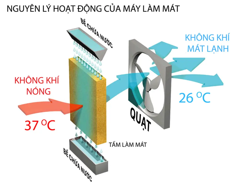Nguyên lý hoạt động của máy làm mát
