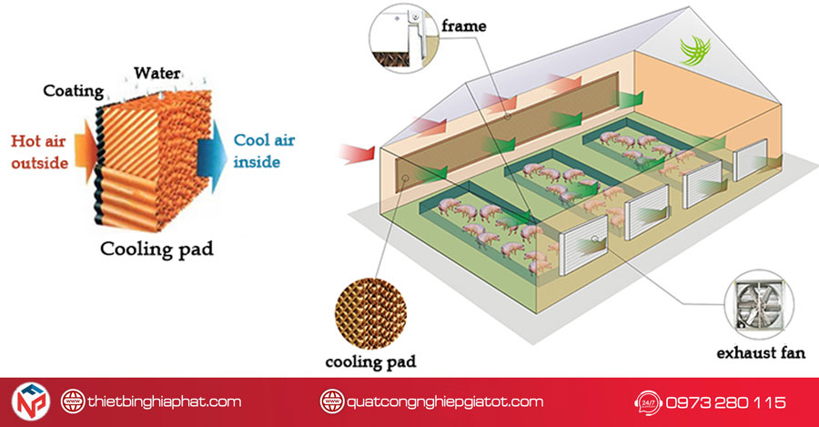 Tấm giấy làm mát Cooling Pad chống rêu 1.8m 18 Ứng dụng tấm giấy Cooling Pad trong thông gió - làm mát
