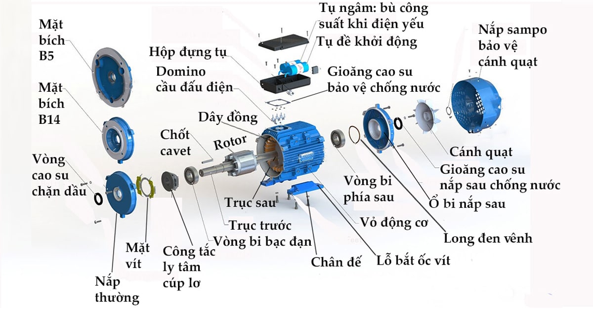 Động cơ 3 pha là gì? Phân loại các loại động cơ 3 pha phổ biến hiện nay 8 Cấu tạo động cơ 3 pha
