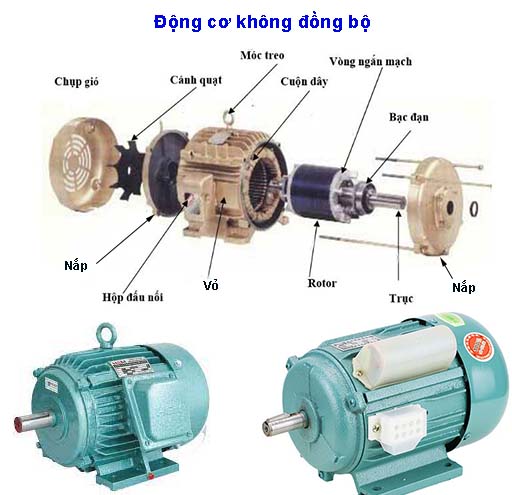 Động cơ 3 pha là gì? Phân loại các loại động cơ 3 pha phổ biến hiện nay 9 Động cơ không đồng bộ 3 pha