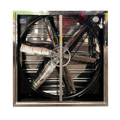 Quạt thông gió vuông INOX 430 BMF-800 800x800