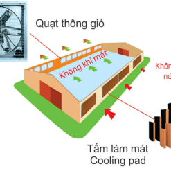 Quạt thông gió kết hợp với tấm làm mát cooling pad