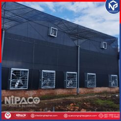 Quạt hút công nghiệp vuông 600x600mm 19 Ứng dụng quạt hút công nghiệp vuông cho nhà xưởng, trang trại