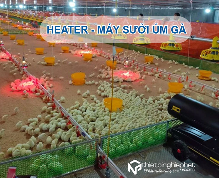 Top#3 Heater máy sưởi úm gà giá tốt, chất lượng nên mua 12 Heater Máy sưởi úm gà